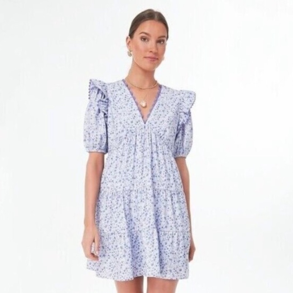 Tuckernuck Blue Floral Mini Dress